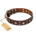'High Fashion' FDT Artisan Embellished Brown Leather Boxer Collar