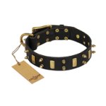 "Medieval Style" FDT Artisan Leather Boxer Collar with Brass Plates and Spikes