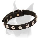 Elegant Boxer collar for walking and training