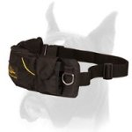 'Swift Reward' Nylon Dog Pouch for Boxer Training