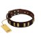"Peace and Harmony" FDT Artisan Brown Leather Boxer Collar with Plates
