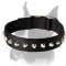 Gorgeous Wide Nylon Dog Collar With Nickel Truncated Cones