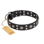 "Refined Essence" FDT Artisan Black Leather Boxer Collar with Silvery Studs