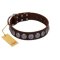 "Charming Circles" FDT Artisan Brown Leather Boxer Collar with Silver-like Studs