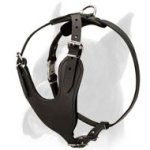 Heavy Duty Leather Dog Harness for Boxer