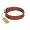 "Star Light" Stylish FDT Artisan Tan Leather Boxer Collar with Silver-Like Studs