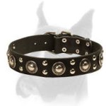 Modern Studded Dog Collar in Rocker Style