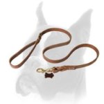 Boxer Latigo Leather Braided Dog Leash