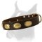 Designer Leather Dog Collar With Oval Plates
