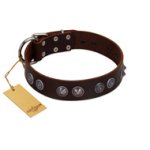 "King Arthur" FDT Artisan Brown Leather Boxer Collar with Spiky Plates