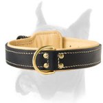 Excellent leather collar for Boxer