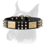 Leather Dog Collar with Spikes, Studs and Brass Plates for Boxers