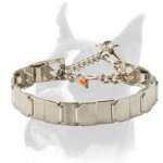 NECK TECH Pinch Prong Collar with Snap Hook Stainless Steel 19 inch (48 mm)