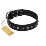 "Natural Beauty" Premium Quality FDT Artisan Black Designer Boxer Collar with Dotted Studs