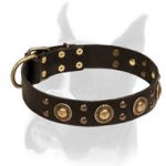 Space-like Boxer Leather Collar with Brass Studs