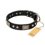 "Pirates Gold" FDT Artisan Black Leather Boxer Collar with Old Silver Look Plates and Skulls