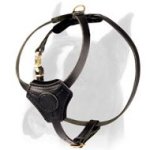 Special lightweight Leather Harness for Boxer Puppy