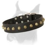 Stylish Wide Leather Boxer Collar with Brass Studs Decoration