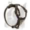 Exquisite Leather Harness for Active Boxer Puppies