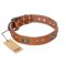 "Stunning Dress" FDT Artisan Tan Leather Boxer Collar with Old Bronze Look Plates and Studs