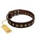 "Street Fashion" FDT Artisan Brown Leather Boxer Collar Adorned with Circles and Skulls