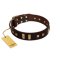 "Choco Delight" FDT Artisan Brown Leather Boxer Collar with Old Bronze-like Plates and Studs