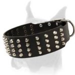 Extra Wide Leather Collar for Boxer with 4 Rows of Pyramids