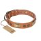 "Lost Desert" FDT Artisan Leather Boxer Collar with Brass Decorations