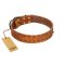 "Walk and Shine" FDT Artisan Tan Leather Boxer Collar with Antiqued Studs