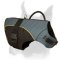 Cold Resistant Winter Vest-Harness for Boxer Dog