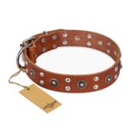 "Silver Elegance" FDT Artisan Decorated Leather Boxer Collar with Old Silver-Like Plated Studs and Cones