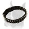 Strong 2 Ply Nylon Dog Collar with Metal Buckle and Spikes