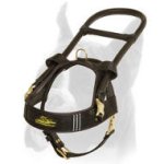 Comfortable Leather Guide Harness for Boxer