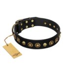 "Reckless Mutt" FDT Artisan Black Leather Boxer Collar with Skulls and Brooches