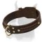 Extra Wide Leather Collar with Stylish Braids for Boxer
