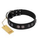 "Silver Medallions" Mod FDT Artisan Black Leather Boxer Collar with Round Plates