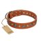 "Natural Beauty" FDT Artisan Tan Leather Boxer Collar with Shining Silver-like Studs