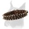 Boxer Spiked & Studded Dog Collar 1 1/2 inch wide