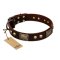 "Magic Amulet" Brown Leather Boxer Collar with Skulls and Plates