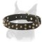 Comfortable leather Boxer collar with symmetrical brass pyramids