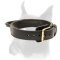 Exclusive Boxer Collar for Agitation with Handle