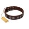 "Silver Sunset" Designer Handmade FDT Artisan Brown Leather Boxer Collar