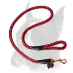 Stylish nylon Boxer leash for training
