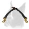 Convenient leather Boxer coupler for walking 2 dogs