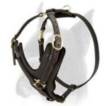 Exclusive Handcrafted Boxer Dog Harness for Successful training