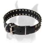Boxer Leather Collar "Caterpillar" Ornated With Studs
