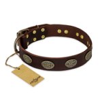 "Chocolate kiss" FDT Artisan Leather Boxer Collar with Old Bronze Look Oval Plates
