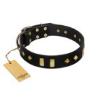 "De Luxe" FDT Artisan Black Leather Boxer Collar with Old Bronze-like Plates and Studs