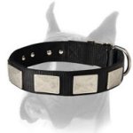 Nylon Dog Collar With Vintage Plates for Boxer