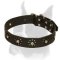 Stylish Collar with Camomile Ornament for Boxer